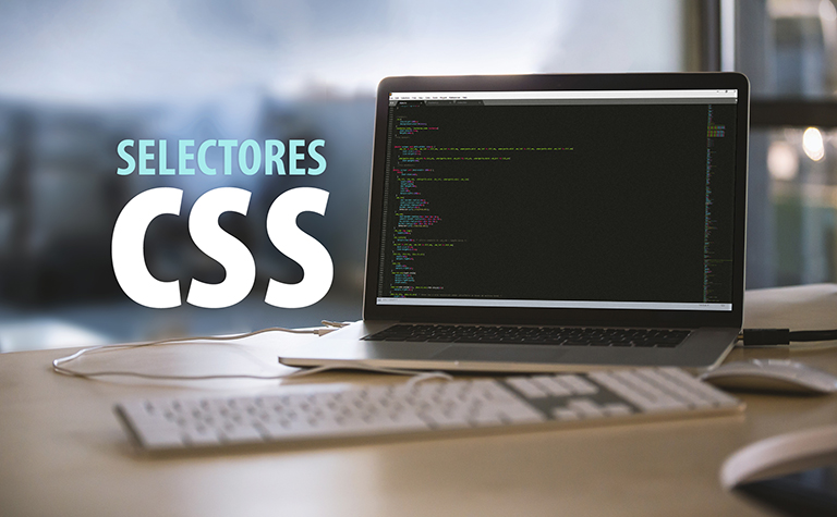 Selectores y pseudo clases CSS. Descripción, uso y ejemplos